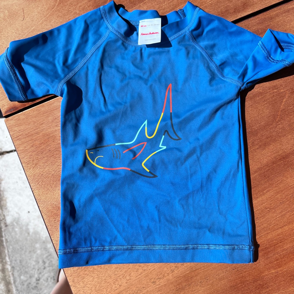 Hannah Anderson Boys SPF Rash Guard and Swim Trunks